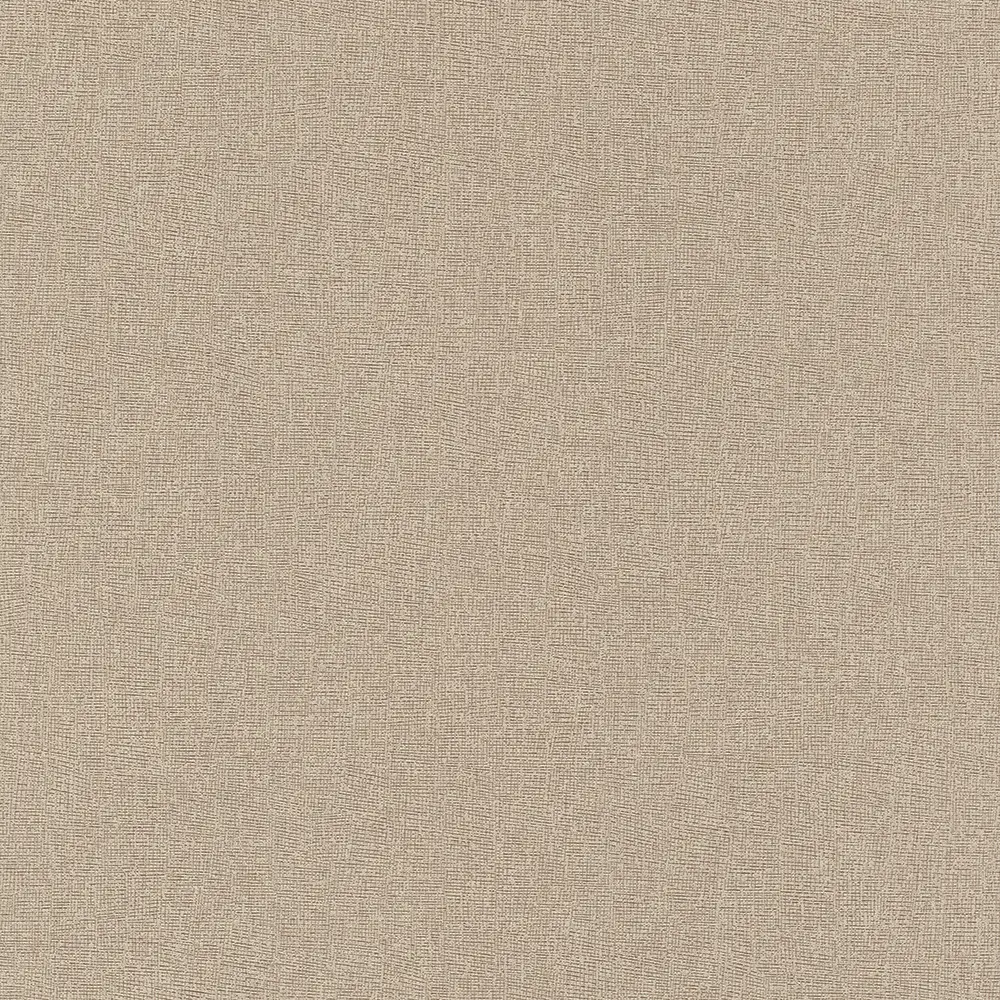 Surfaces SF1214