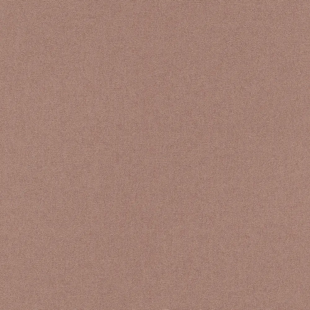 Surfaces SF1231