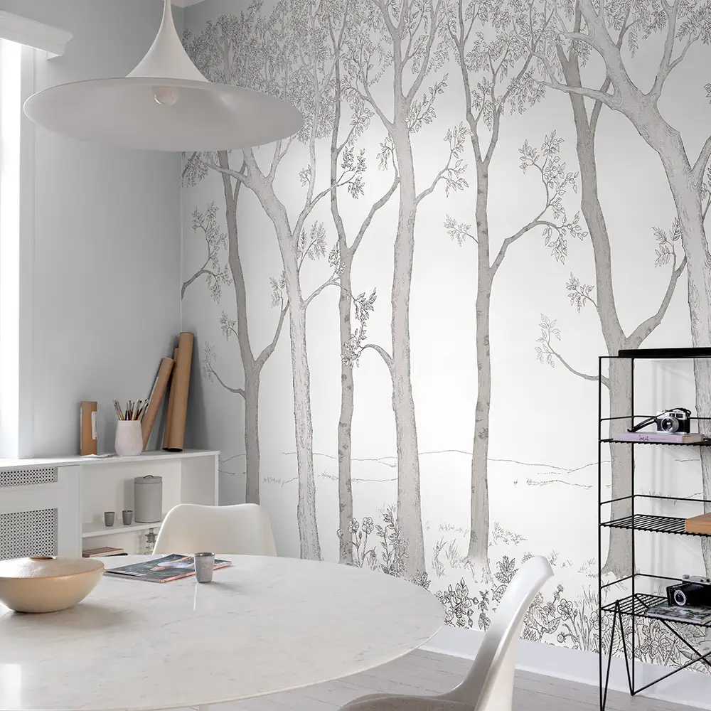 Young Edition ML1701